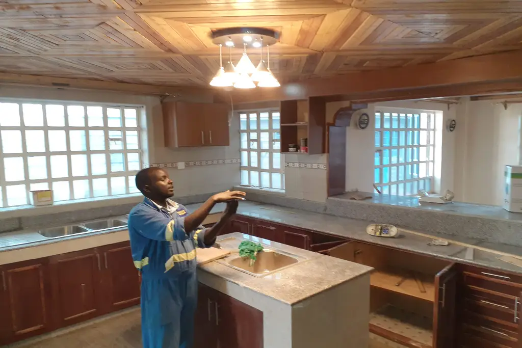 Portfolio background